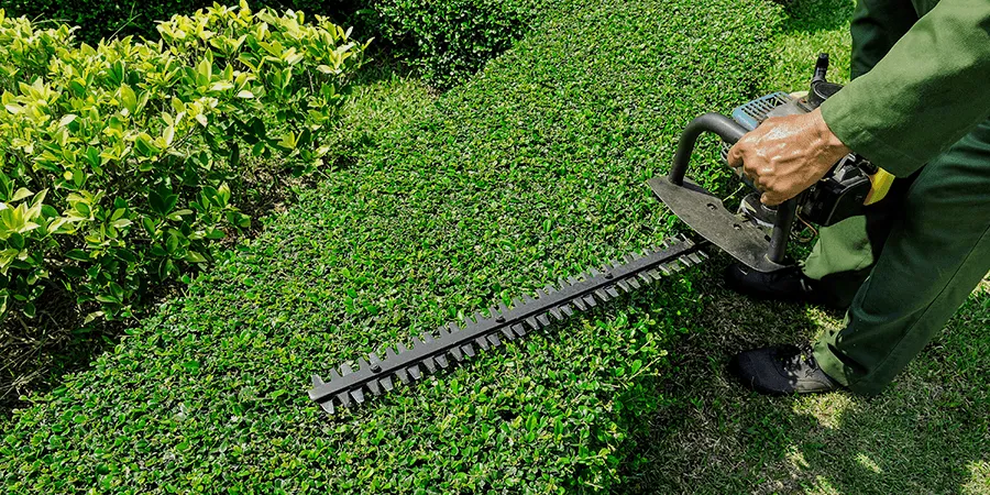 Custom landscaping services in Lutz, FL by Precious Cuts Lawn Care