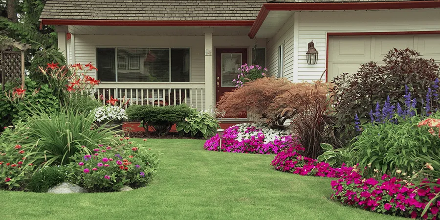 Affordable yard cleanup service experts serving Lutz, FL - Precious Cuts Lawn Care