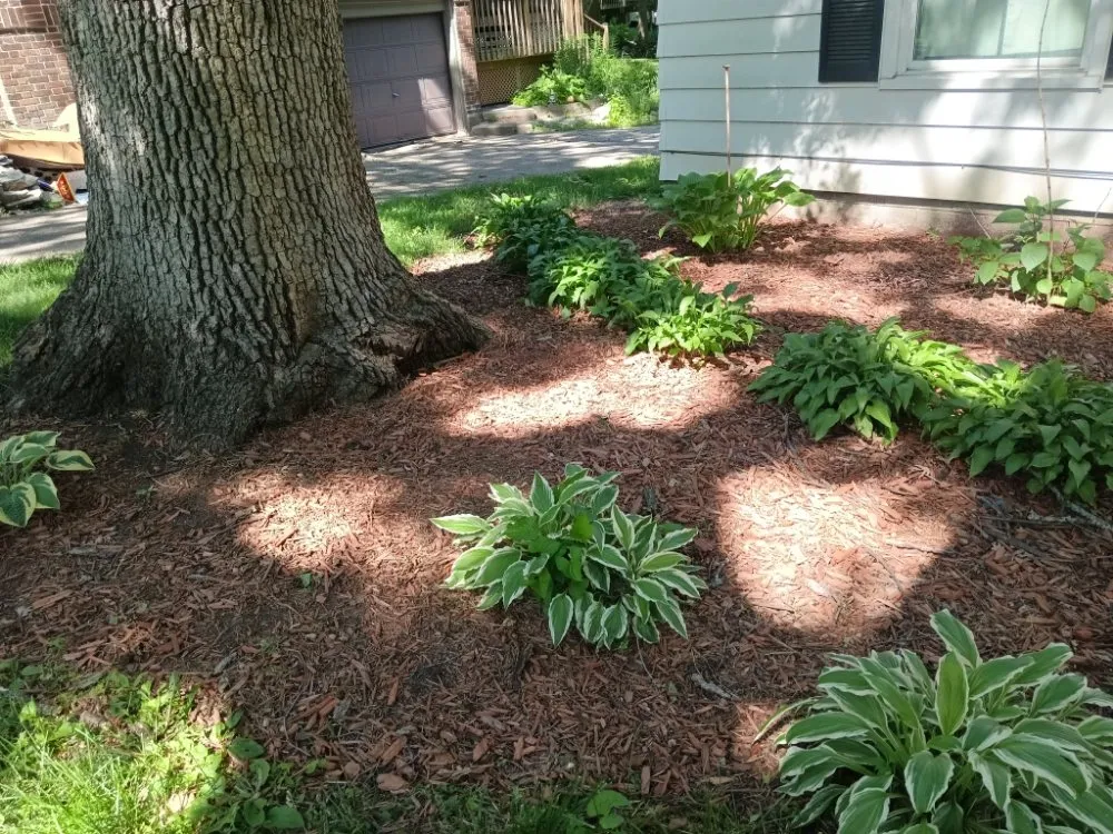 Reliable landscaping services for homes in Windsor Heights, IA by Precious Gardens