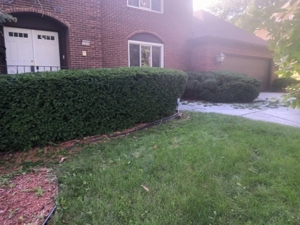 Professional landscape design experts serving Windsor Heights, IA - Precious Gardens