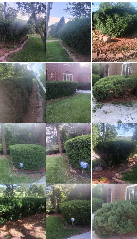 Custom landscaping services experts serving Windsor Heights, IA - Precious Gardens