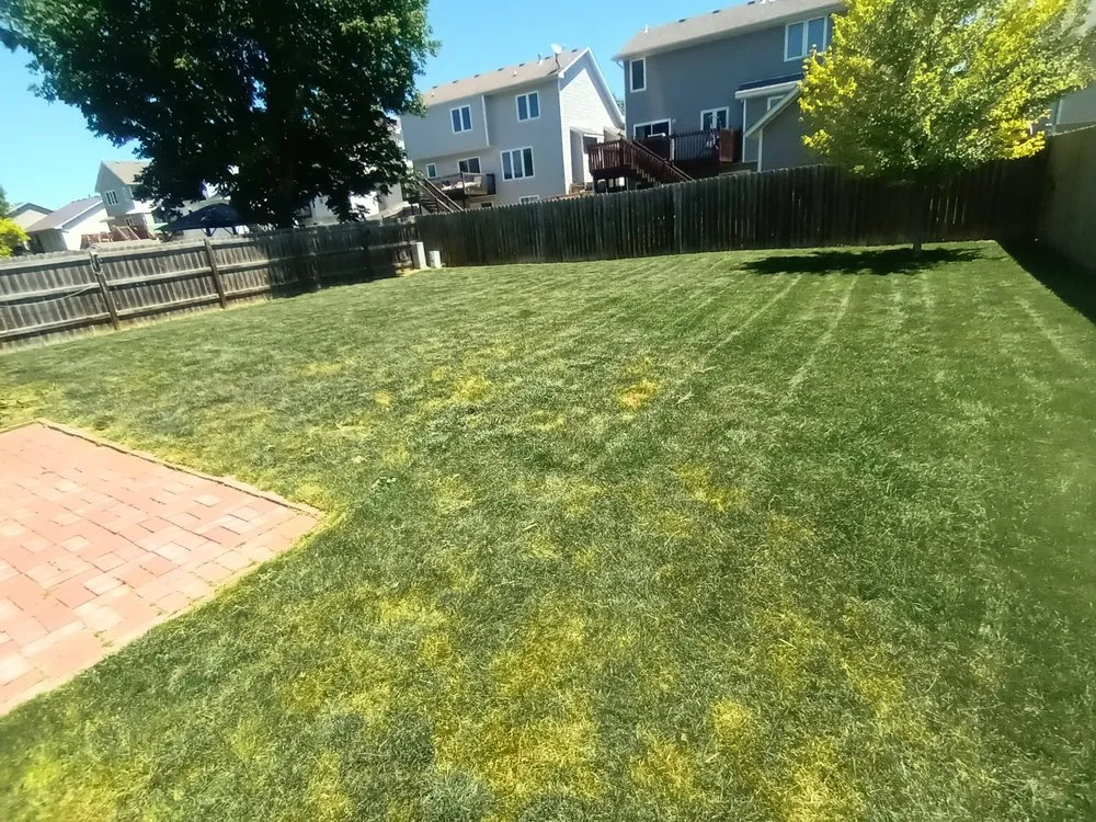 Expert garden landscaping in Windsor Heights, IA by Precious Gardens