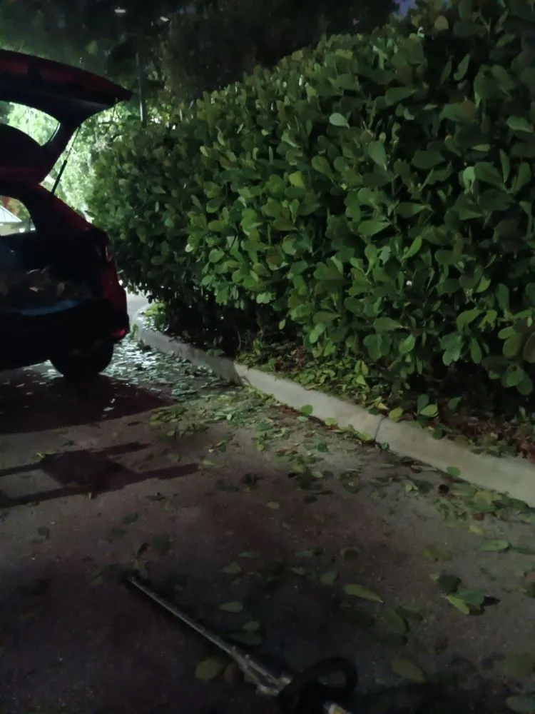 Reliable lawn mowing service experts serving Windsor Heights, IA - Precious Gardens