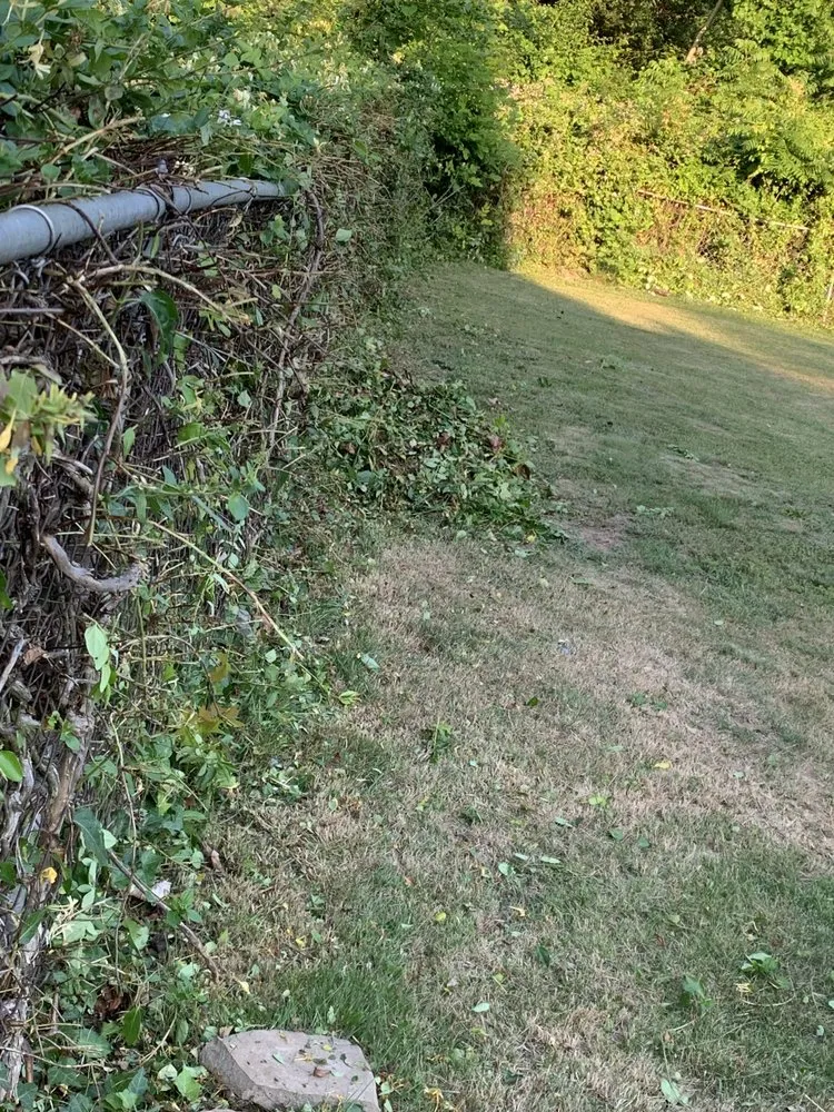 Trusted landscaping services experts serving Roanoke, VA - Precious Lawn Care