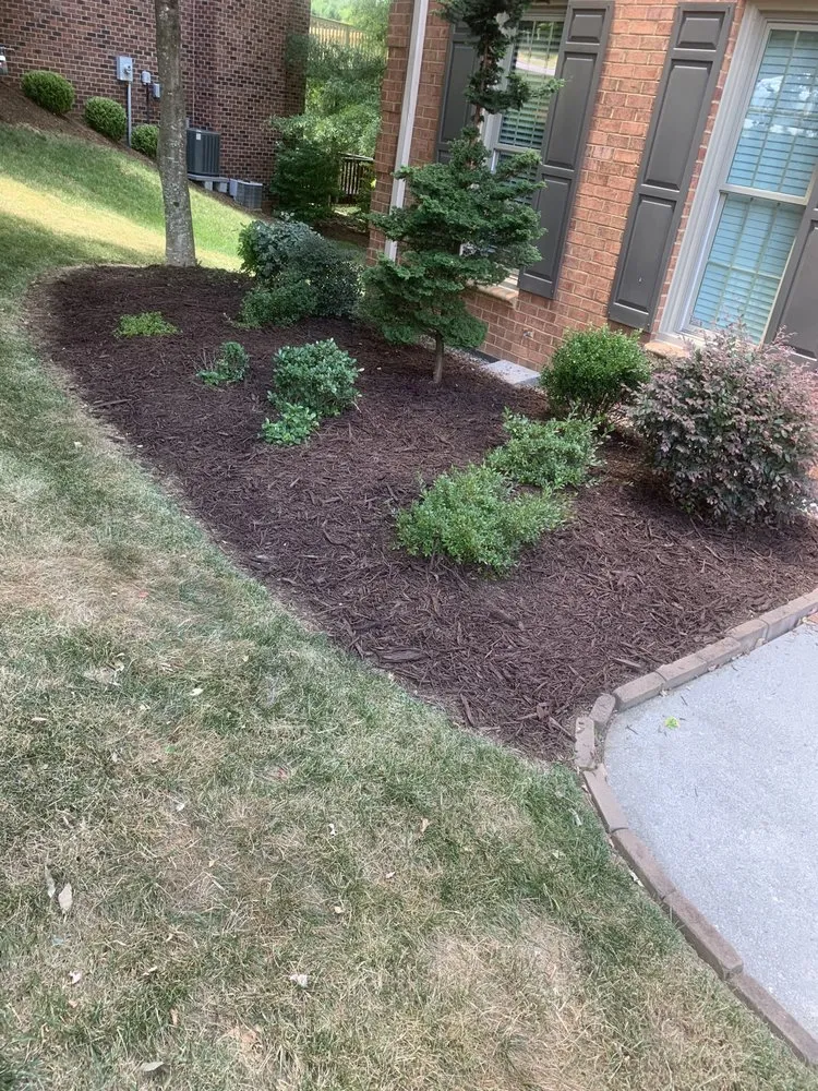 Top-rated yard cleanup service near you in Roanoke, VA by Precious Lawn Care
