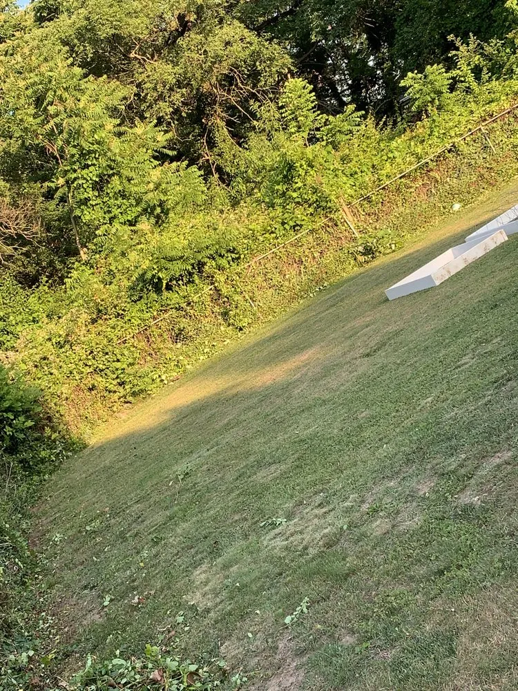 Local yard maintenance for outdoor upgrades in Roanoke, VA by Precious Lawn Care