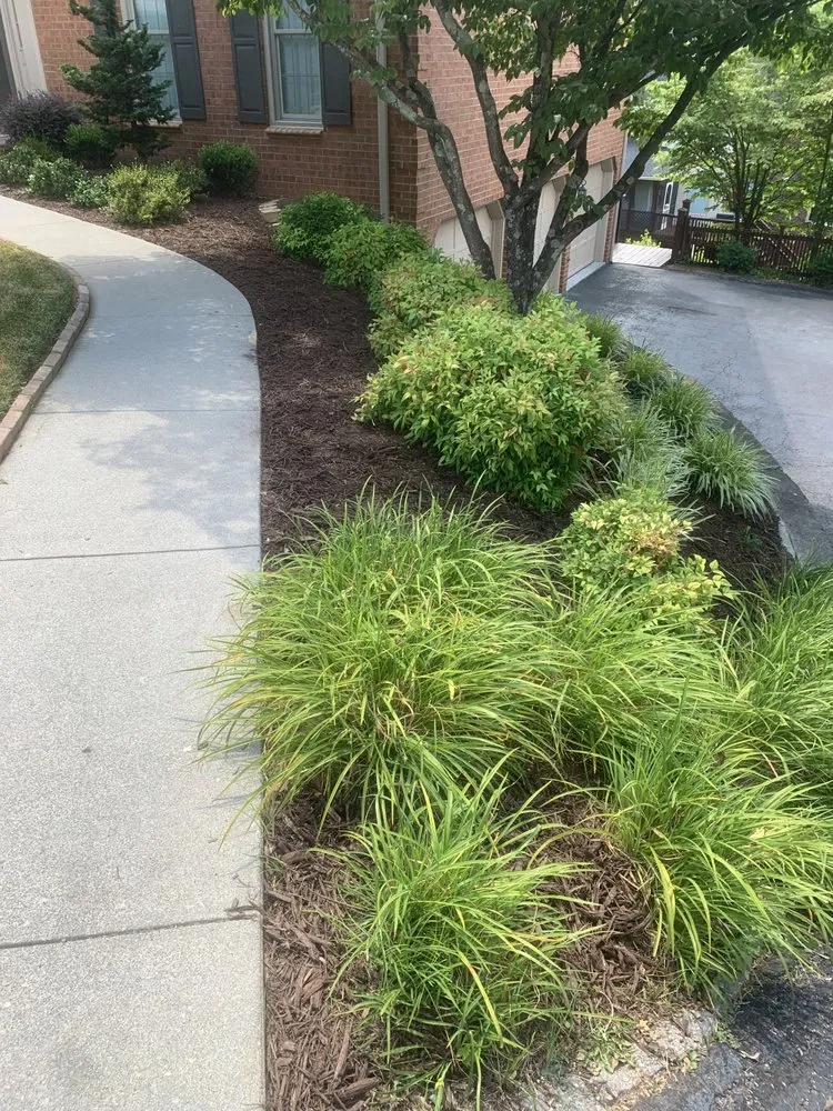 Expert lawn mowing service for year-round maintenance across Roanoke, VA - Precious Lawn Care