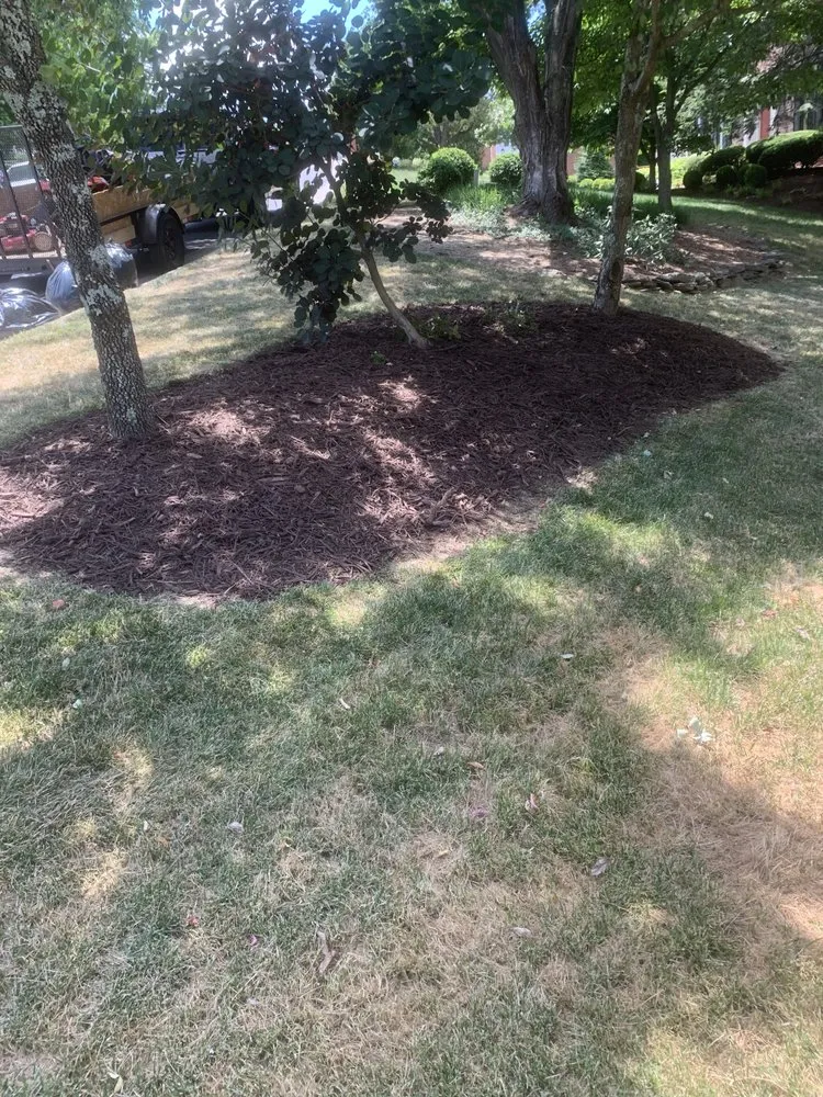 Professional landscape installation experts serving Roanoke, VA - Precious Lawn Care