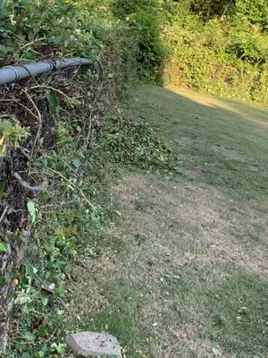 Precious Lawn Care Logo