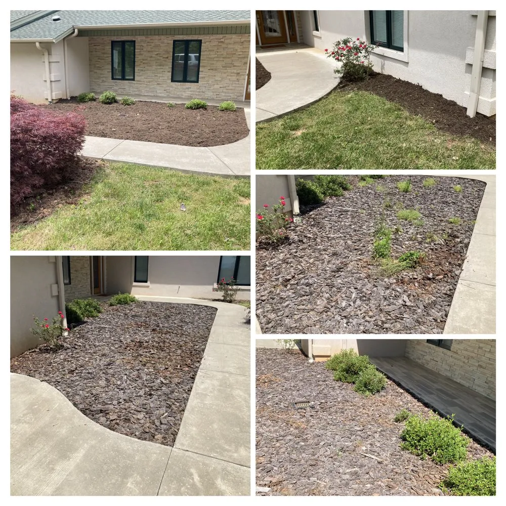 Local landscaping services in Lenoir, NC by Precious Mowing