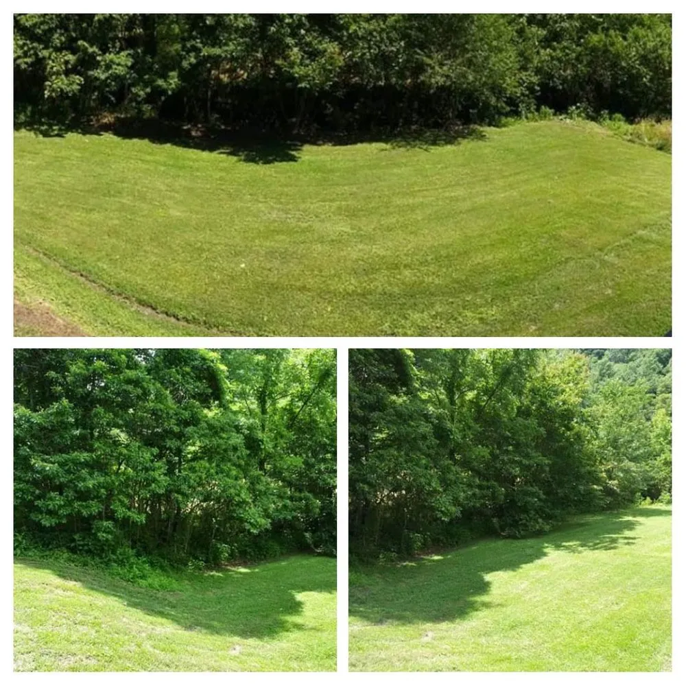 Reliable yard cleanup service near you across Lenoir, NC - Precious Mowing