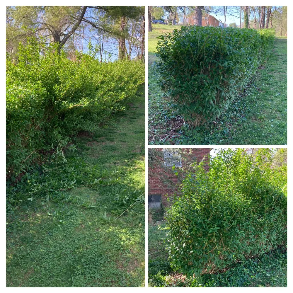 Reliable lawn mowing service for homes in Lenoir, NC by Precious Mowing