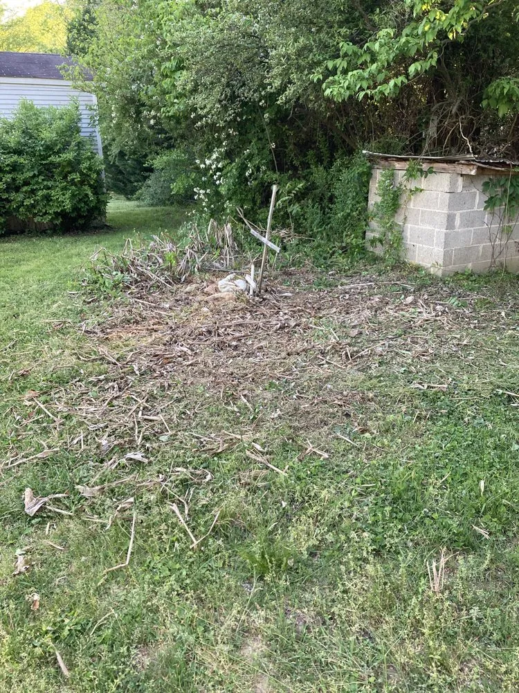 Expert yard maintenance in Lenoir, NC - Precious Mowing