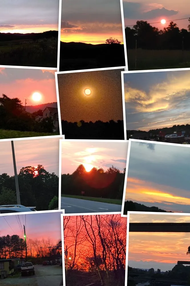 Local landscape installation for beautiful yards in Lenoir, NC by Precious Mowing