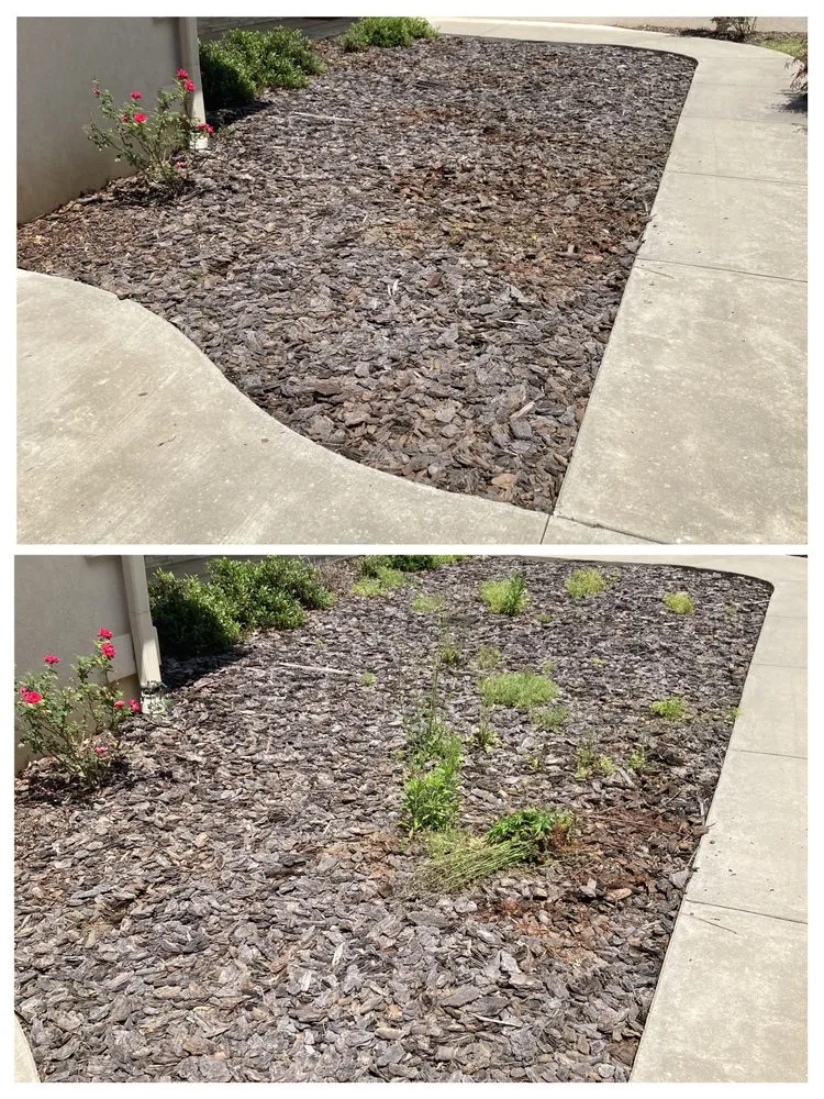 Local outdoor landscaping in Lenoir, NC - Precious Mowing