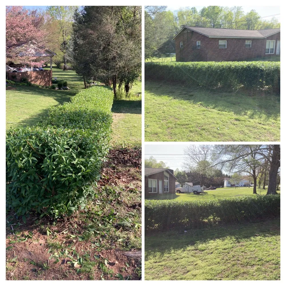 Expert yard maintenance for year-round maintenance across Lenoir, NC - Precious Mowing