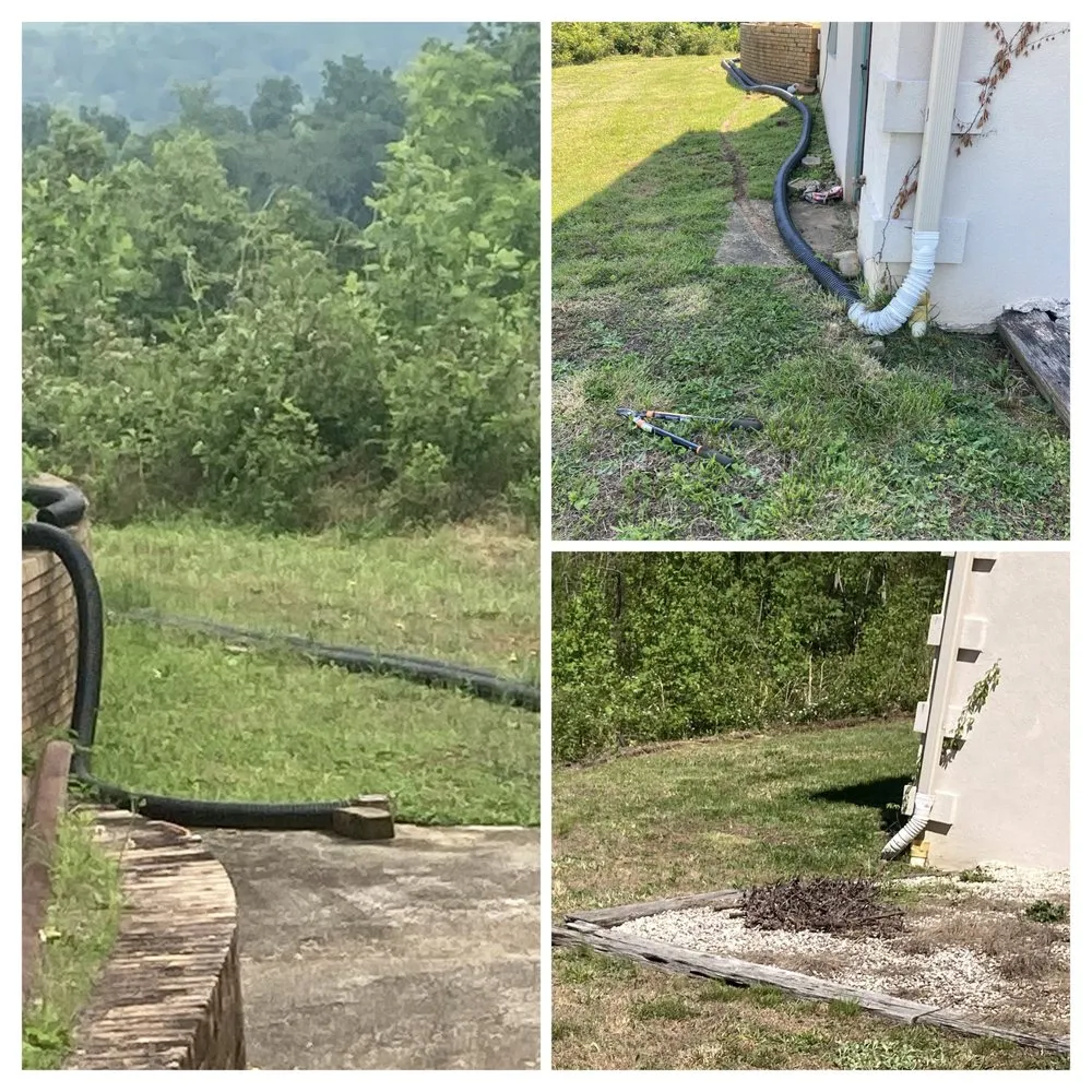 Reliable lawn mowing service experts serving Lenoir, NC - Precious Mowing