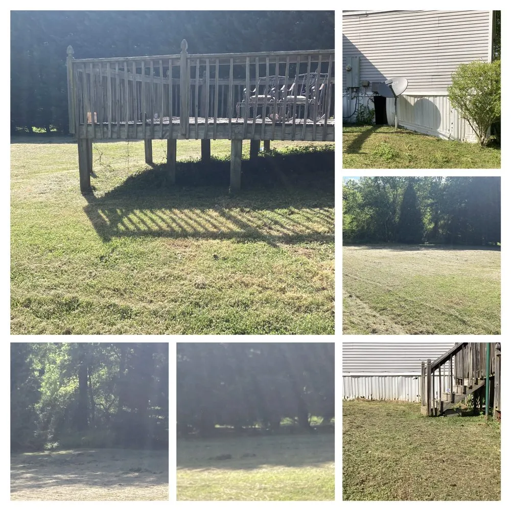 Local landscape design in Lenoir, NC - Precious Mowing