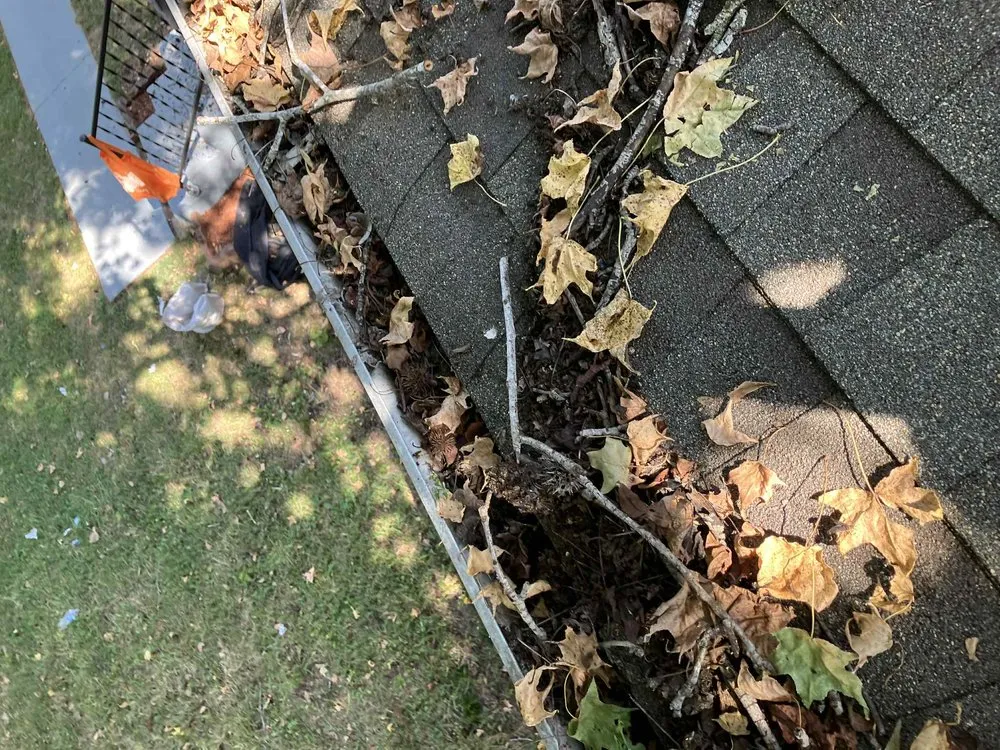 Expert landscape installation in Clarksville, TN by Precious Precision