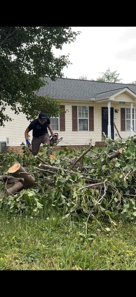 Reliable yard maintenance for outdoor upgrades across Clarksville, TN - Precious Precision