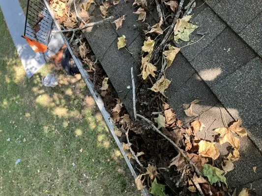 Precious Precision Logo