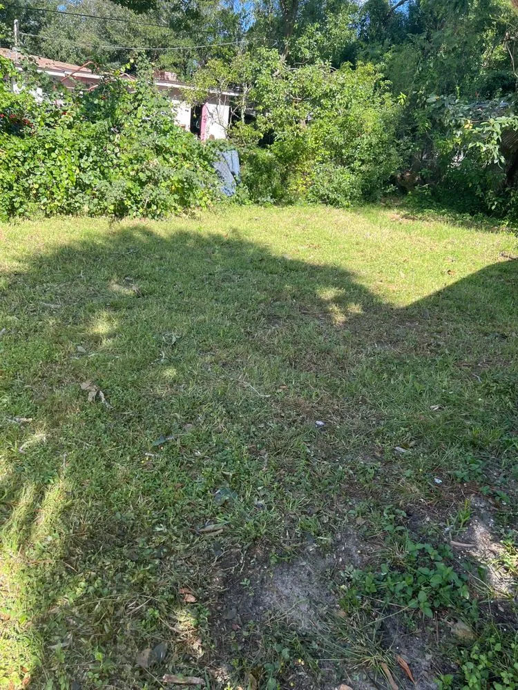 Top-rated yard maintenance in Temple Terr, FL - Precious Property Preservationist