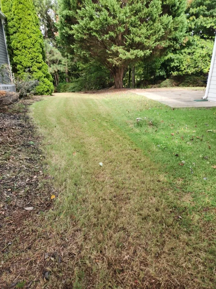 Reliable landscaping services for homes in Lawrenceville, GA by Precise Cut lawn Care