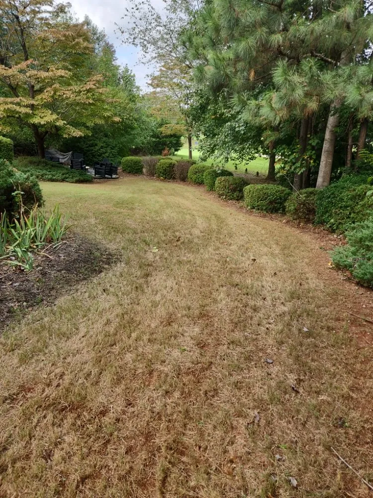 Expert landscape design for homes across Lawrenceville, GA - Precise Cut lawn Care