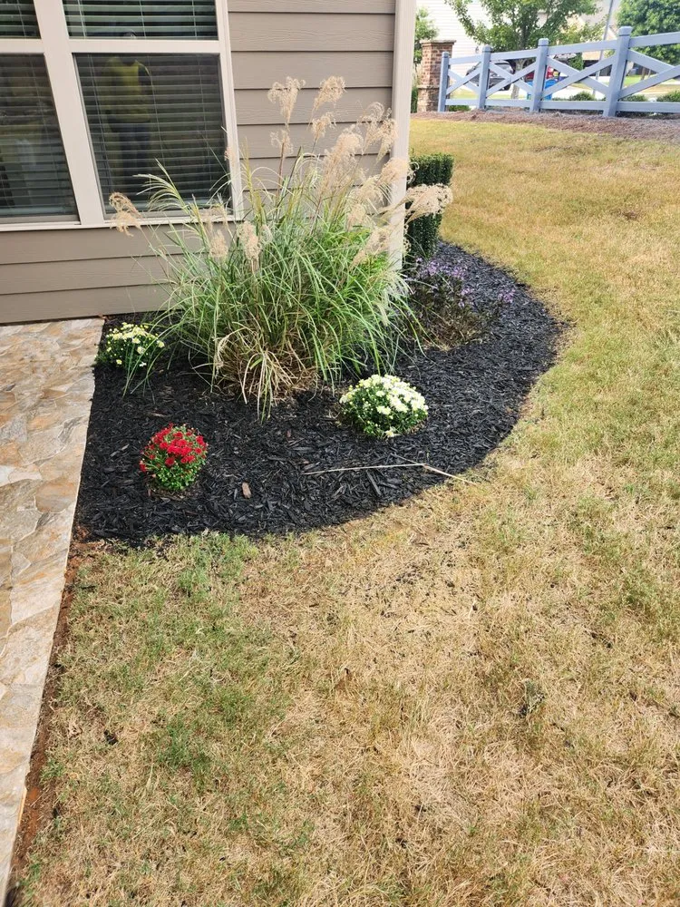 Trusted yard cleanup service experts serving Lawrenceville, GA - Precise Cut lawn Care