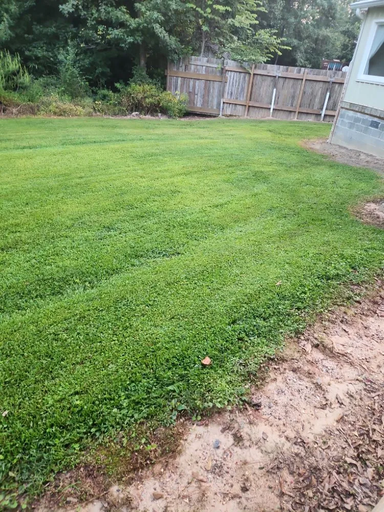 Professional outdoor landscaping in Lawrenceville, GA - Precise Cut lawn Care