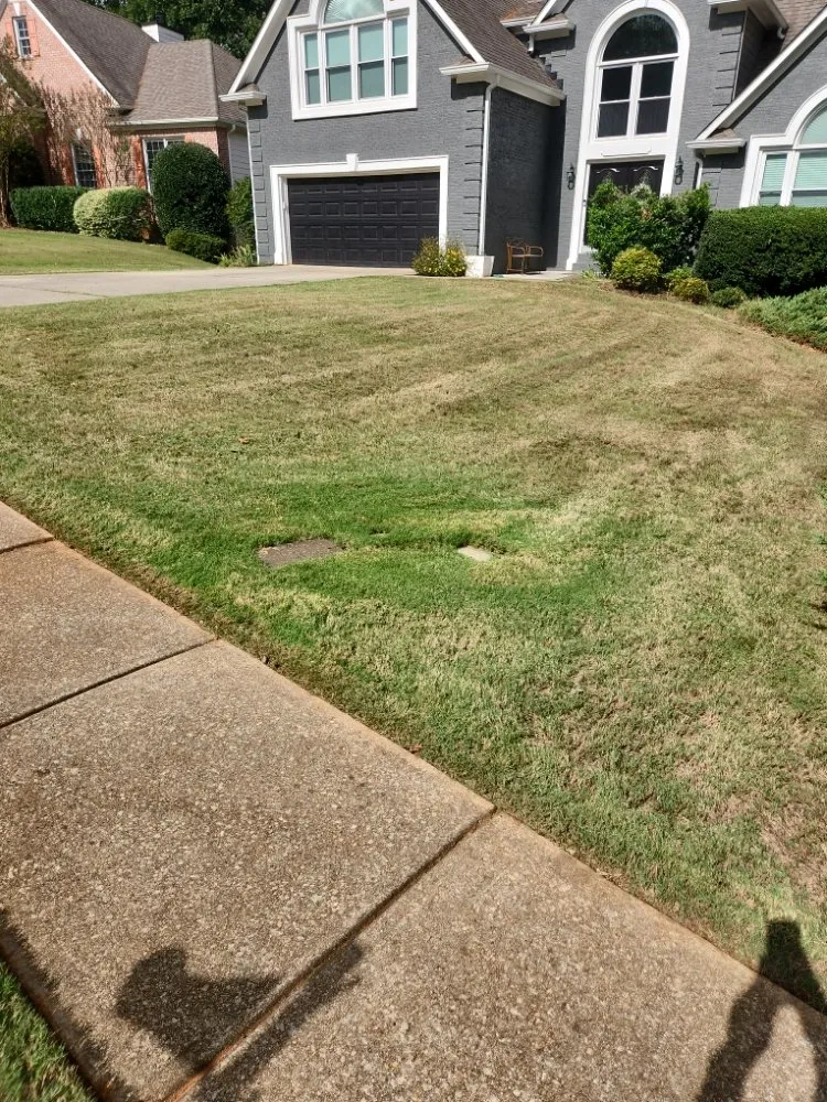 Trusted yard cleanup service near you in Lawrenceville, GA by Precise Cut lawn Care