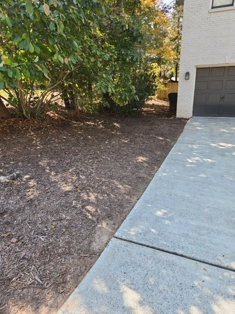 Reliable yard cleanup service in Lawrenceville, GA by Precise Cut lawn Care