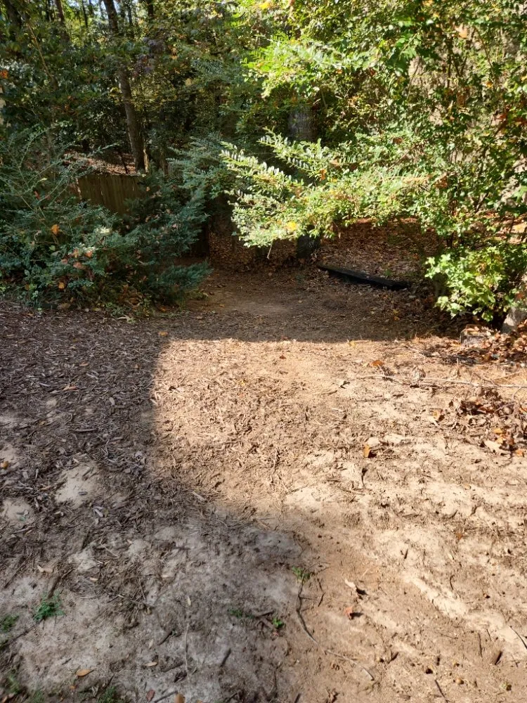 Professional outdoor landscaping in Lawrenceville, GA - Precise Cut lawn Care