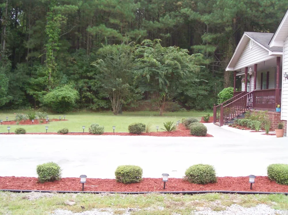 Trusted residential landscaping in Reevesville, SC - Precise Cuts