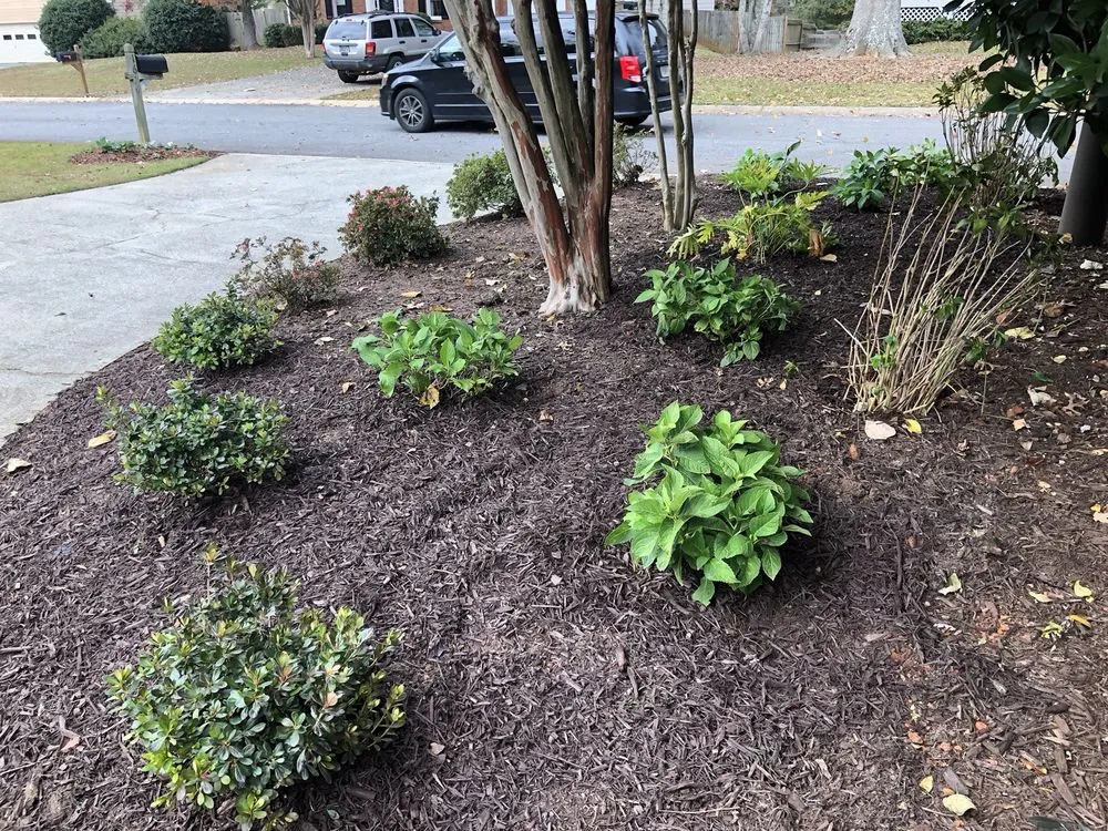 Local outdoor landscaping in Powder Springs, GA - Precise Landscape and Irrigation Solutions