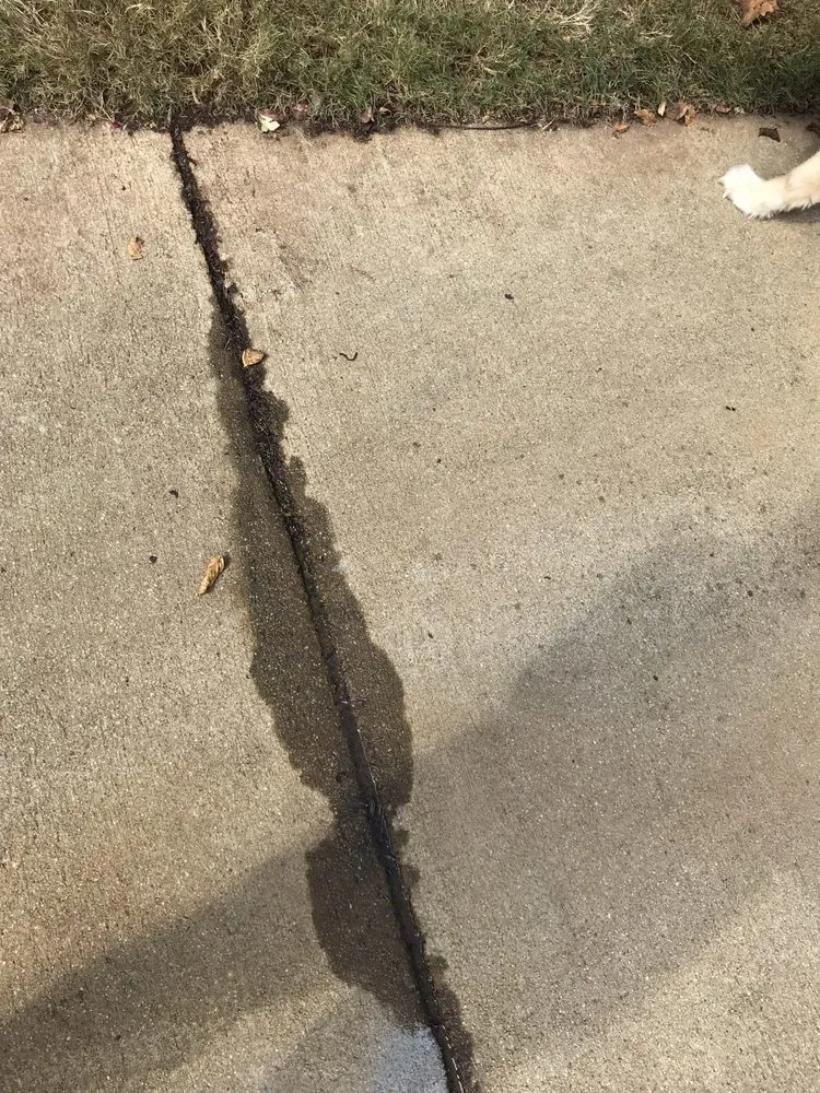 Top-rated lawn mowing service for beautiful yards in Powder Springs, GA by Precise Landscape and Irrigation Solutions