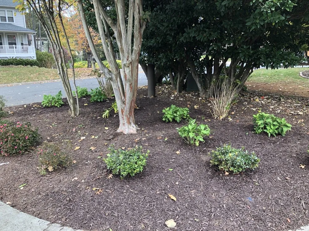 Affordable landscape installation in Powder Springs, GA - Precise Landscape and Irrigation Solutions
