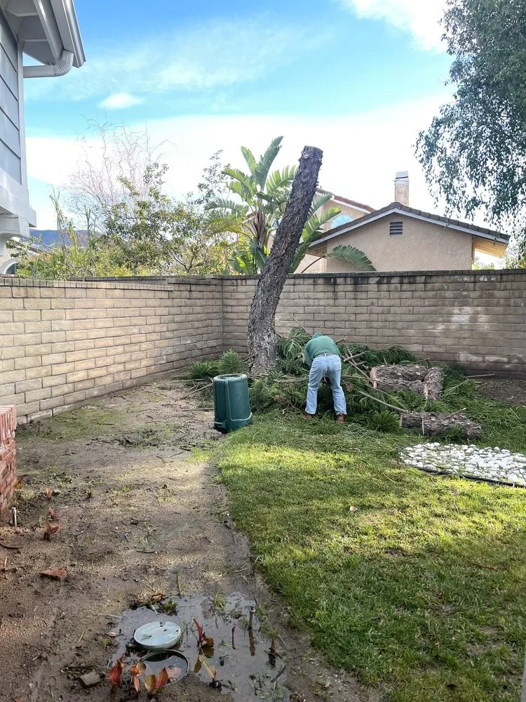 Reliable lawn care service for beautiful yards in Fillmore, CA by Precise Landscape