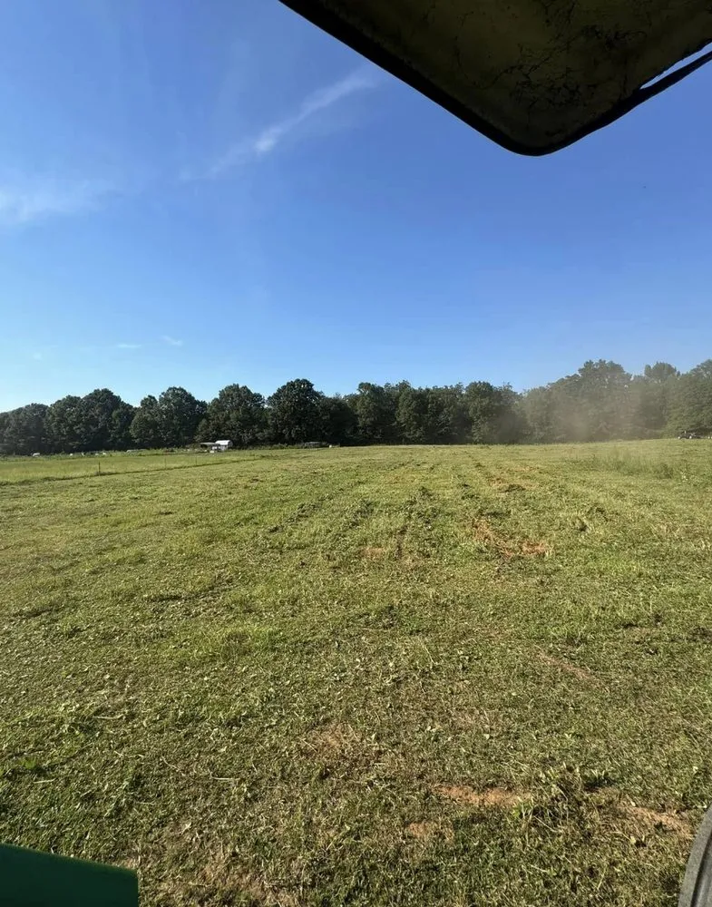 Affordable residential landscaping for year-round maintenance in Griffin, GA by Precise Landscape Solution