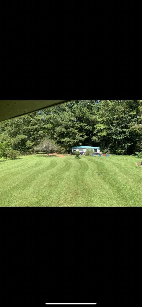 Professional yard maintenance experts serving Griffin, GA - Precise Landscape Solution