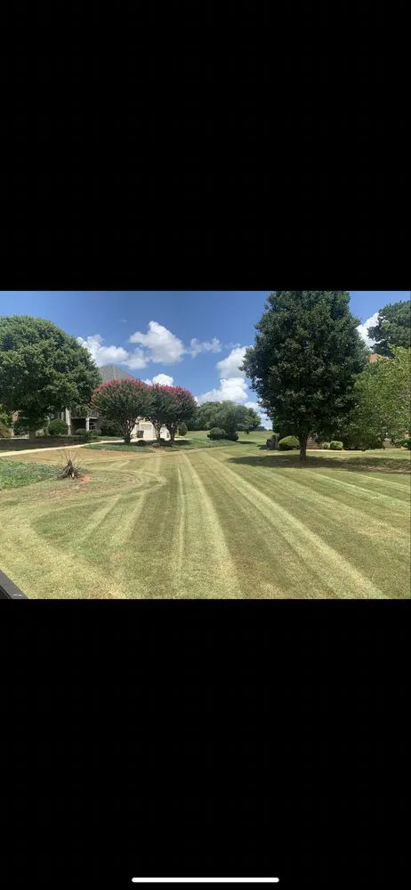 Expert landscape installation in Griffin, GA - Precise Landscape Solution