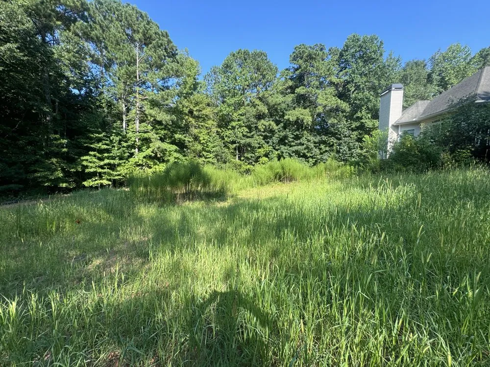 Custom landscape design near you across Griffin, GA - Precise Landscape Solution