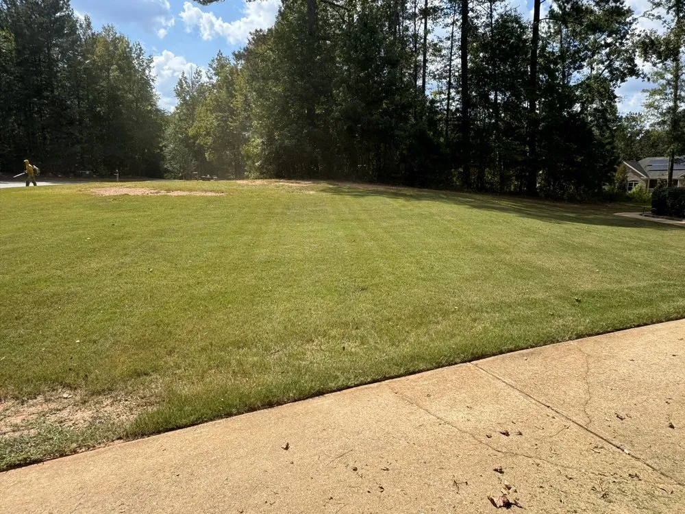 Reliable lawn mowing service in Griffin, GA - Precise Landscape Solution