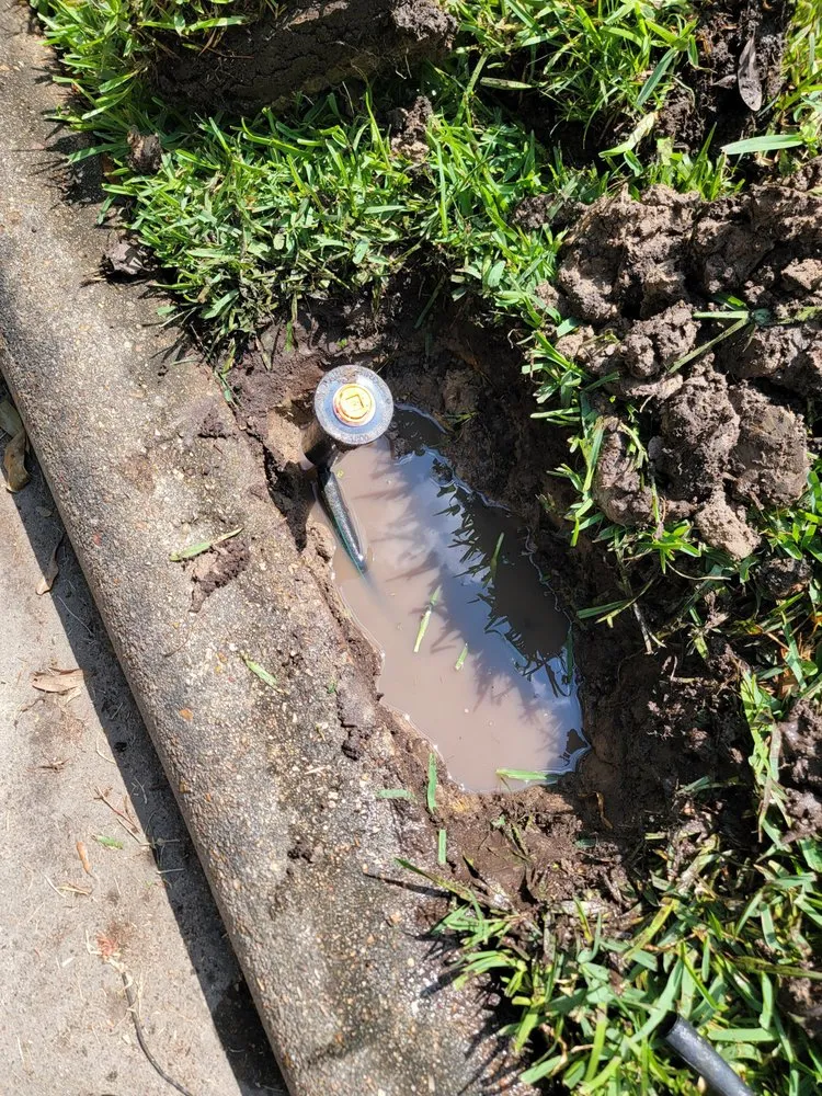 Affordable landscape installation in Houston, TX by Precise Landscapes and Irrigation