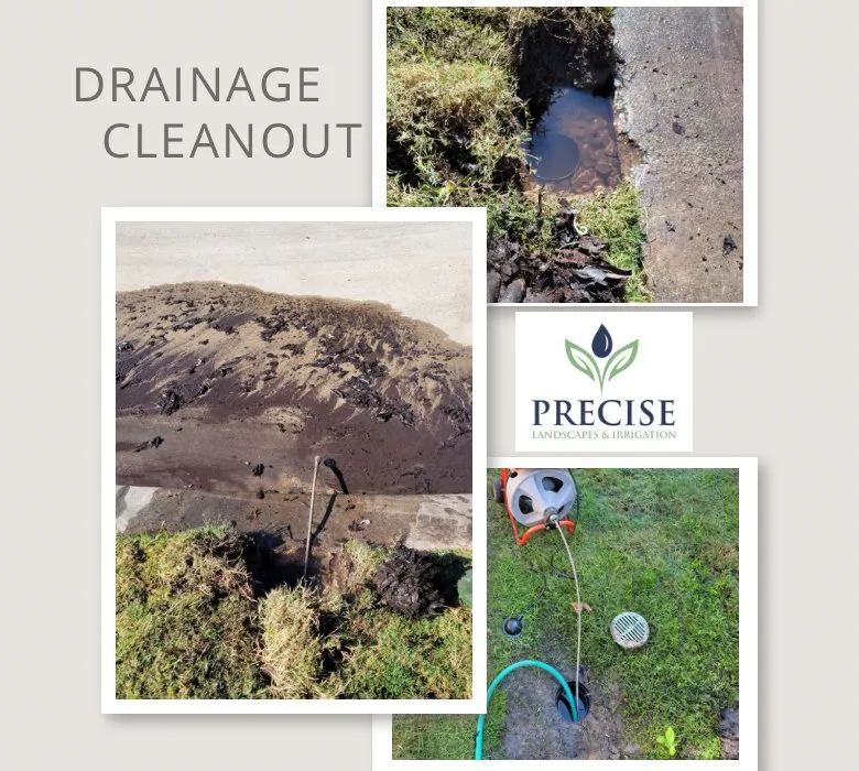 Affordable yard maintenance in Houston, TX by Precise Landscapes and Irrigation