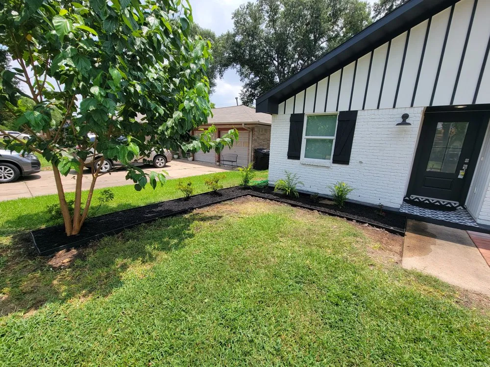 Expert yard cleanup service in Houston, TX - Precise Landscapes and Irrigation