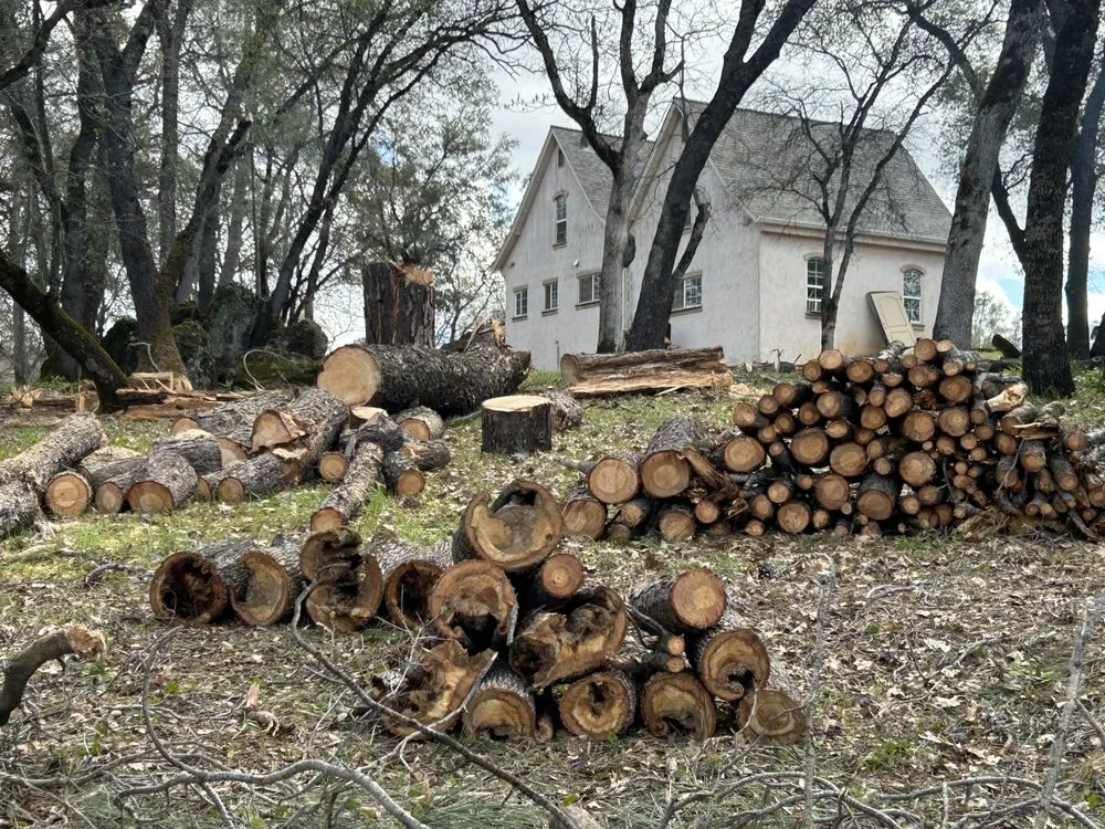 Affordable landscape installation in Auburn, CA by Precise Landscaping