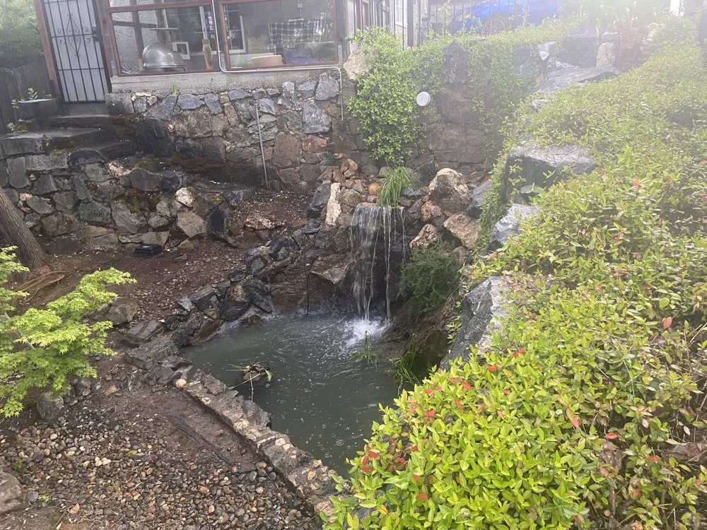 Expert landscape design for beautiful yards across Auburn, CA - Precise Landscaping