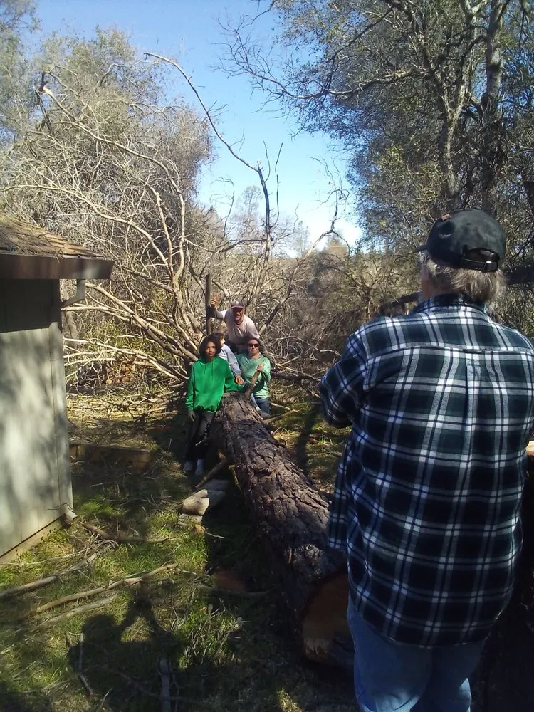 Affordable yard maintenance in Auburn, CA - Precise Landscaping