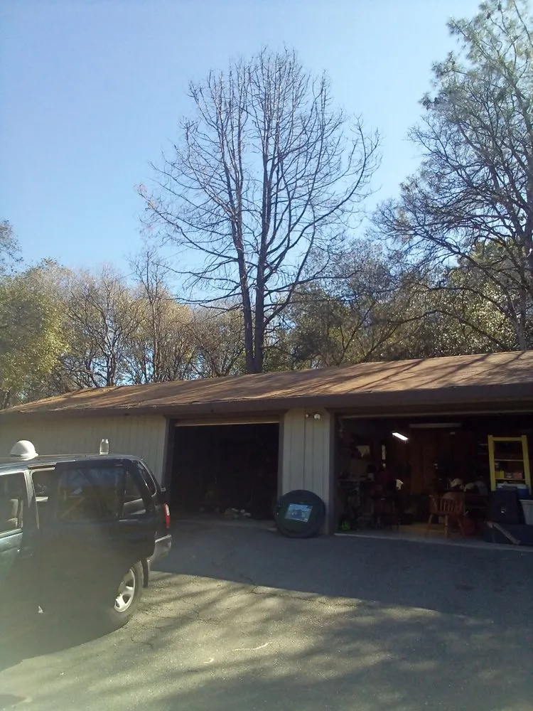 Local lawn mowing service for beautiful yards in Auburn, CA by Precise Landscaping